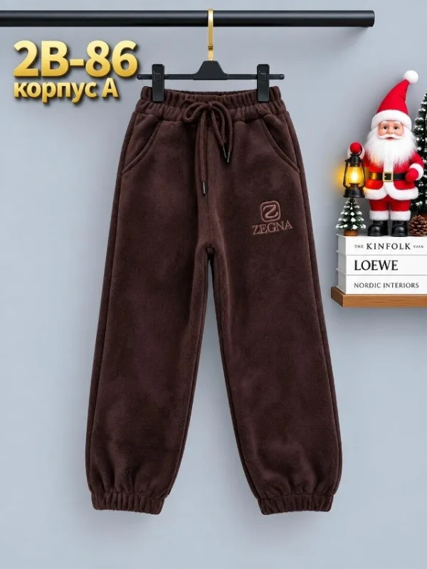 Штаны 1723964