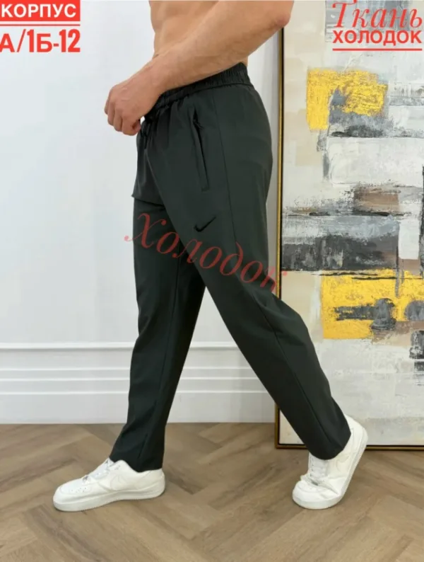 Штаны 1726571