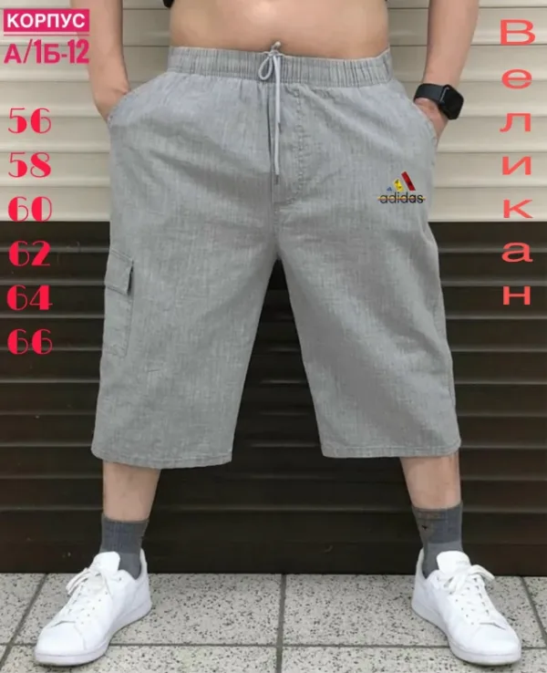 Шорты 1732325