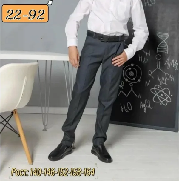 Штаны 1737881