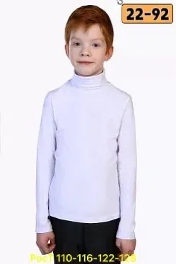 Водолазка 1738845