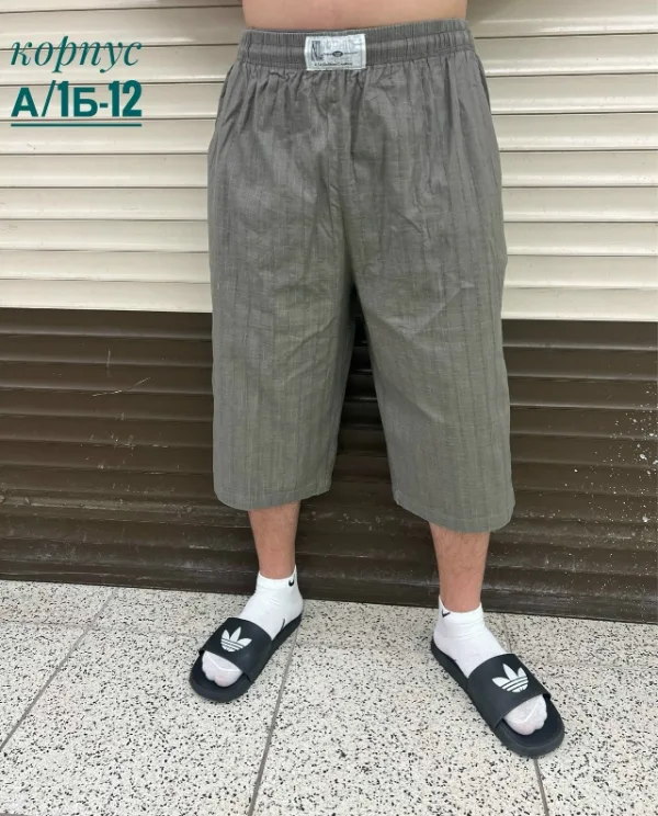 Шорты 1745931