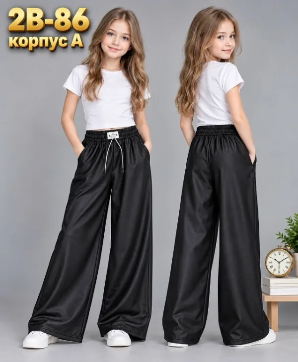 Штаны 1751604