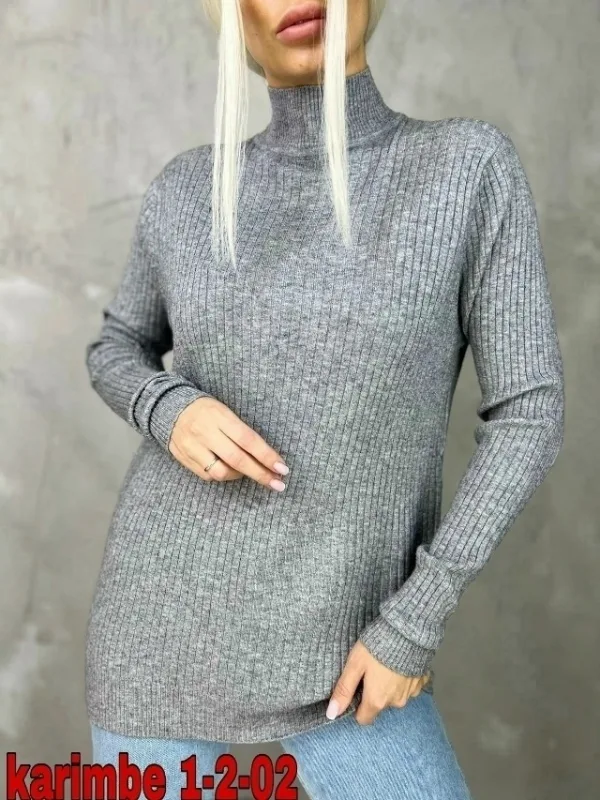Водолазка 1736548