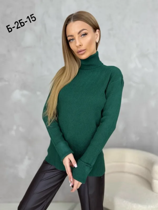 Водолазка 1737430