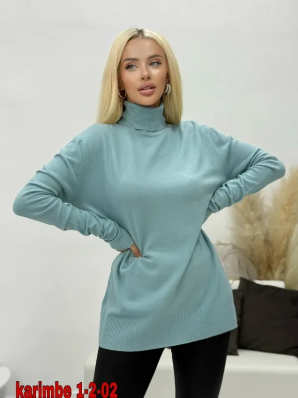 Водолазка 1737514