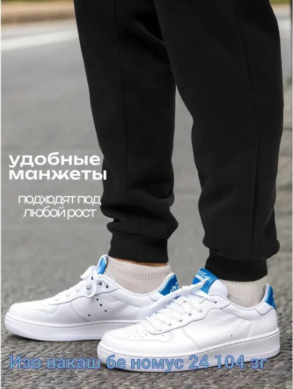 Штаны 1743256