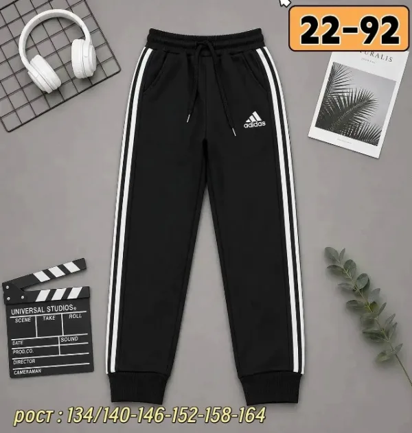 Штаны 1754587