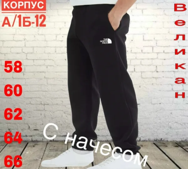 Штаны 1755945