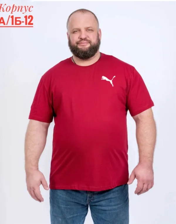 Футболка 996912730
